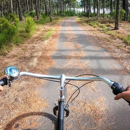 Prázdninový dům Maison Neuve Classement 3 Etoiles Avec Acces Prive Piste Cyclable, 6 Personnes Mimizan-Plage